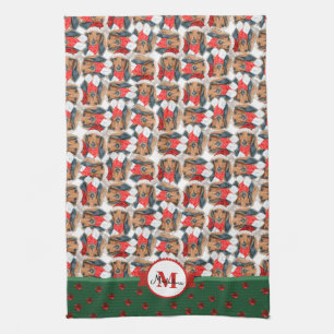 Långhårig Dachshund Mönster Monogram Jul Hund Kökshandduk