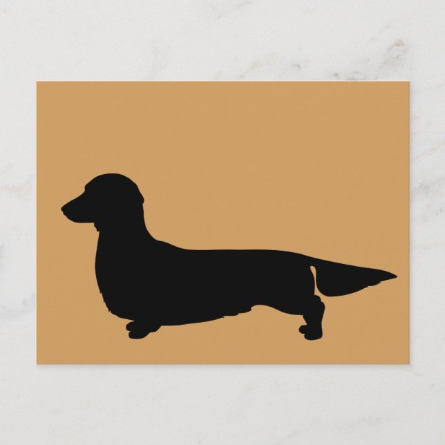 Långhårig Dachshund Postkort Vykort (Framsida)