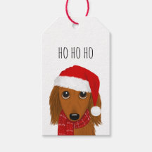 Långhårig Dachshund Santa Cute Hund jul
