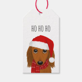 Långhårig Dachshund Santa Cute Hund jul Presentetikett
