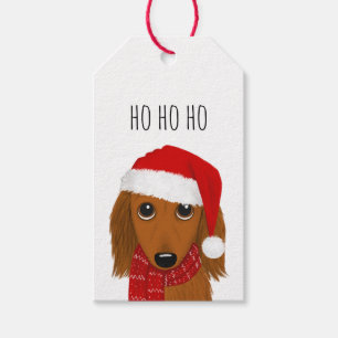 Långhårig Dachshund Santa Cute Hund jul Presentetikett