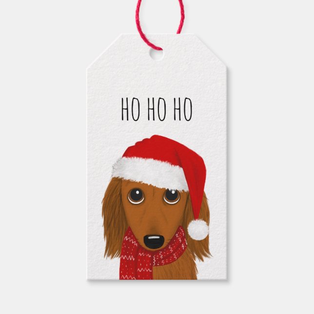 Långhårig Dachshund Santa Cute Hund jul Presentetikett (Framsidan)