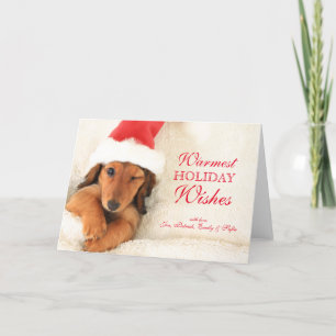 Långhårig Dachshund-valp som blinkar Helgkort