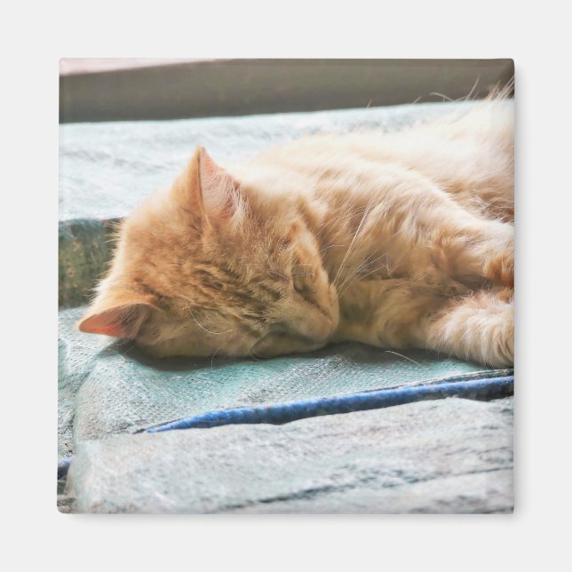 Långhårig Ginger-klapp för sömnad Magnet (Framsidan)