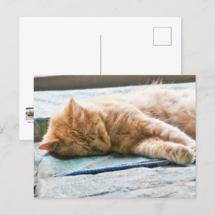 Långhårig Ginger-klapp för sömnad Vykort