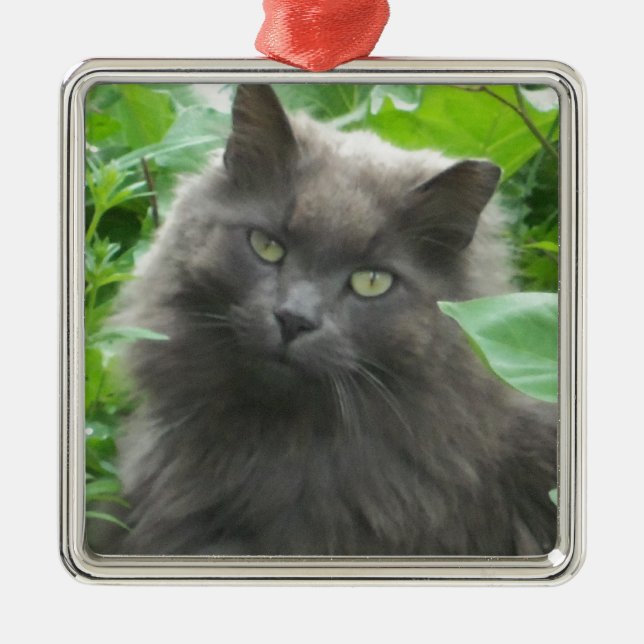 Långhårig Grå Rysk Blå Katt Julgransprydnad Metall (Framsidan)