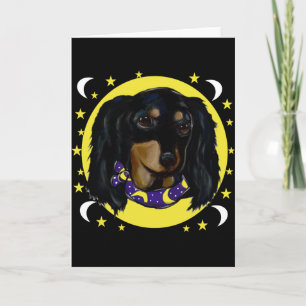 Långhårig svart dachshund kort