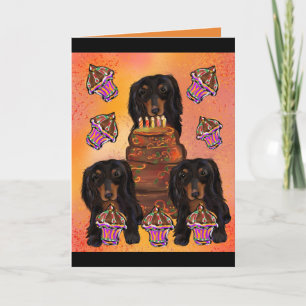 Långhårig svart dachshund kort