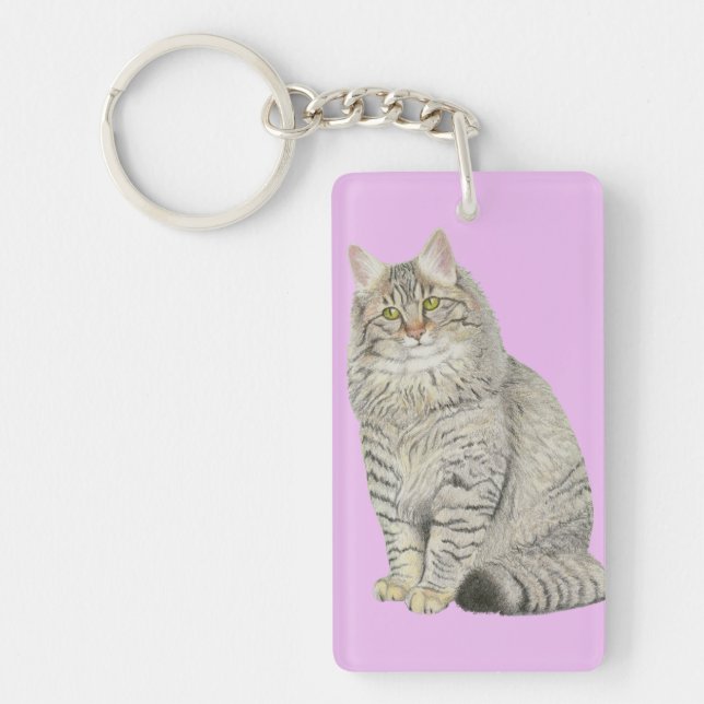 Långhårig Tabby katt (Framsidan)