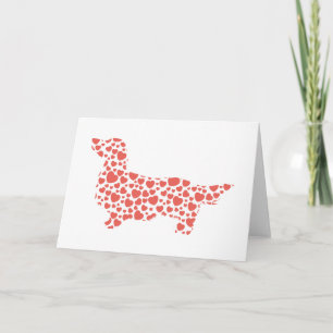 Långhårig tax kort