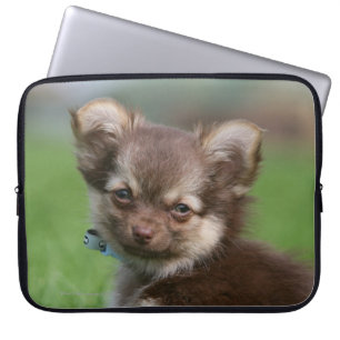 Långhårig tittar kamera för Chihuahua valp Laptop Sleeve