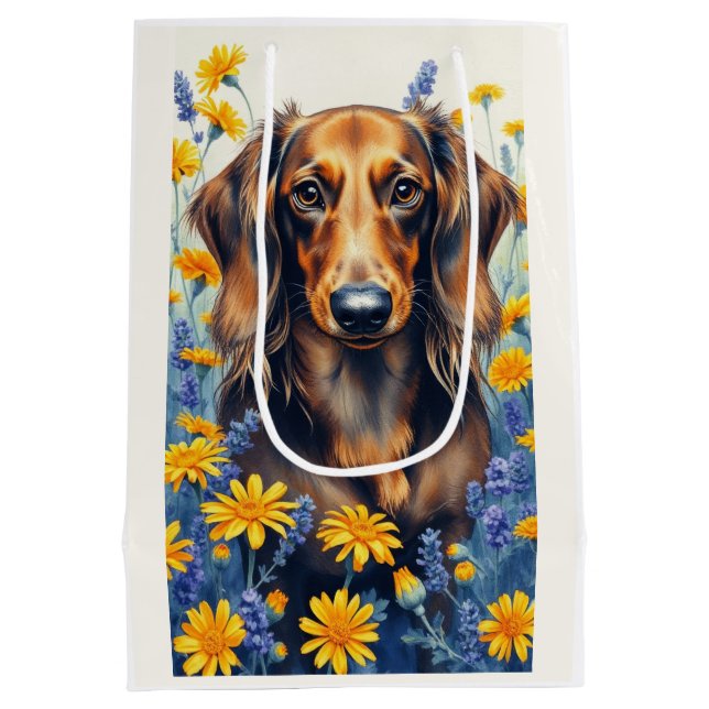 Långhåriga Dachshund (Baksidan)