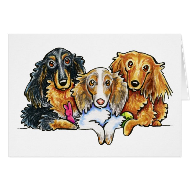 Långhåriga Dachshund Trio Hälsningskort (Framsidan Horizontal)