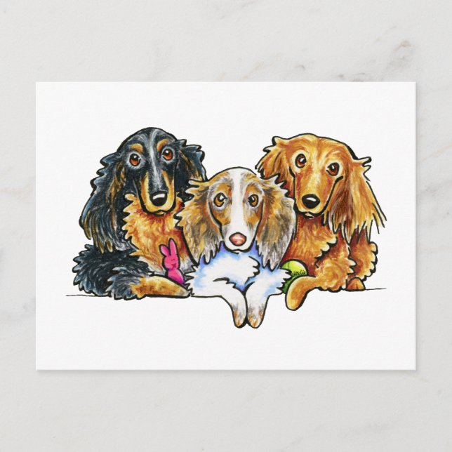 Långhåriga Dachshund Trio Vykort (Framsida)