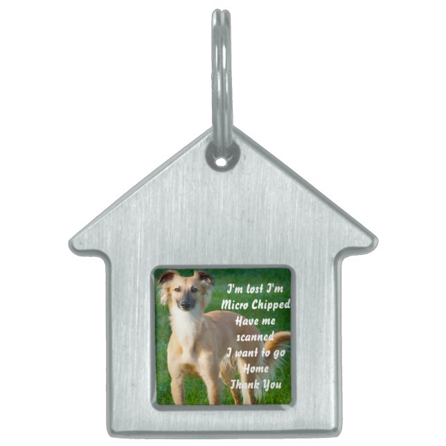 Långhåriga Whippet hundar ID-bricka Husdjur (Framsidan)