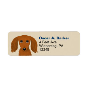 Långhårigare Dachshund Wiener Hund Returadress Etikett