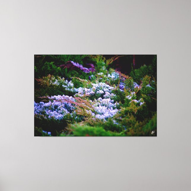 Langley vattenfront #5 canvastryck (Framsida)