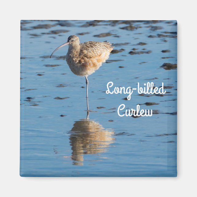 Långnäbbad Curlew Magnet (Framsidan)