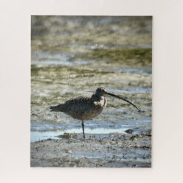 Långnäbbad Curlew Pussel