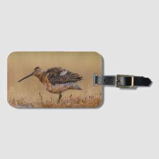 Långnäbbad Dowitcher Bagagebricka