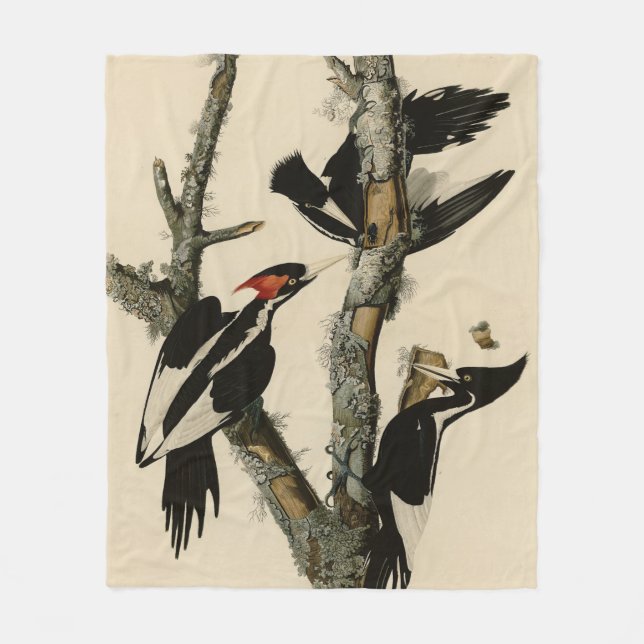 Långnäbbade träskare Audubon's Birds of America Fleecefilt (Framsidan)