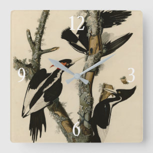 Långnäbbade träskare Audubon's Birds of America Fyrkantig Klocka