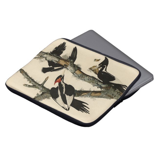 Långnäbbade träskare Audubon's Birds of America Laptop Fodral (Framsida topp)