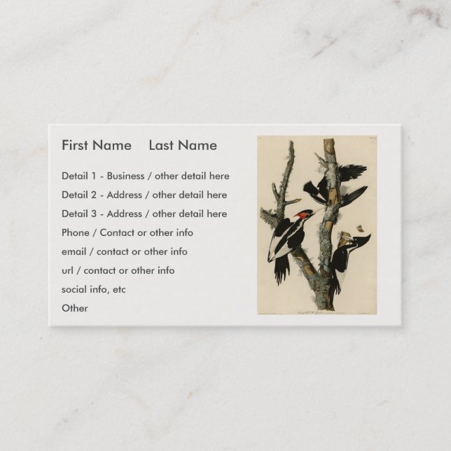 Långnäbbade träskare Audubon's Birds of America Visitkort (Framsida)