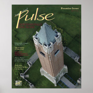 Långön Pulse Cover Poster