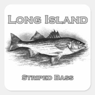 Långön Vintage Stripe Bass Logotyp Fyrkantigt Klistermärke