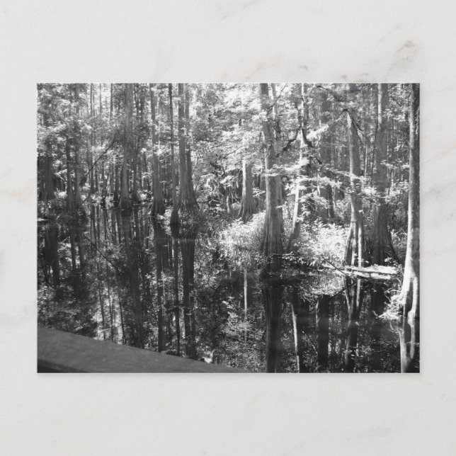 Längs bankvykortet vykort (Framsida)