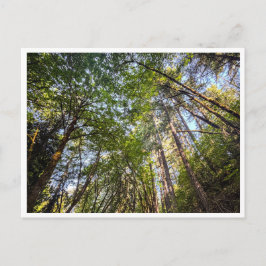 Längs spåret vykort