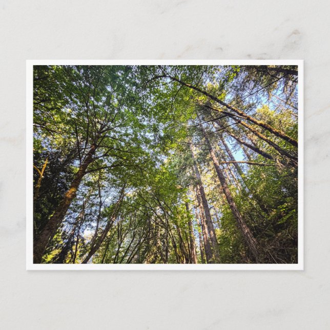 Längs spåret vykort (Framsida)