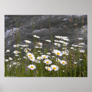 Längs strömmen poster