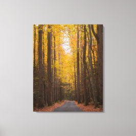 Längs vägen canvastryck