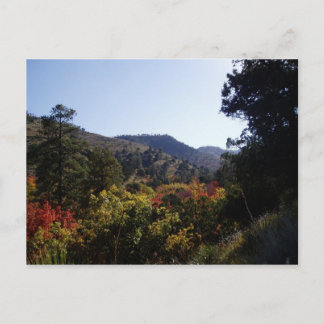 Längs vägen - Canyons from Trail Vykort