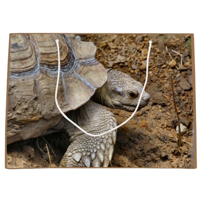 Långsam (Framsidan)