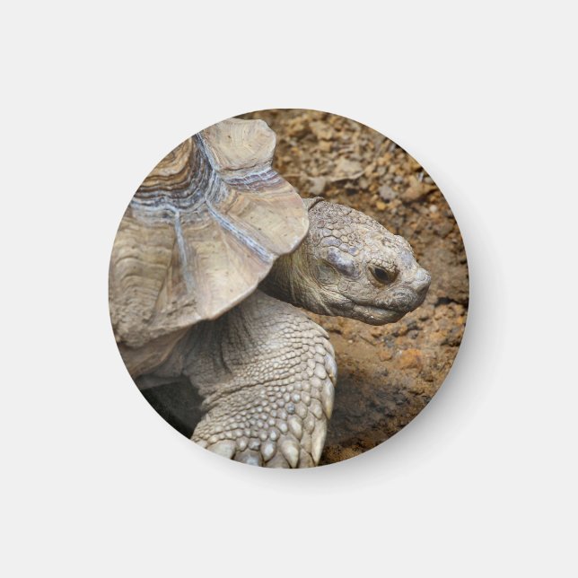 Långsam Magnet (Framsidan)