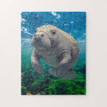 Långsam nedgång och drift för manatee Inspired