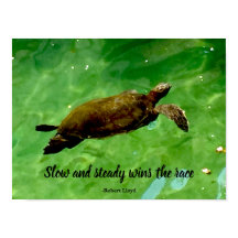 Långsam och stadig seger i tävling