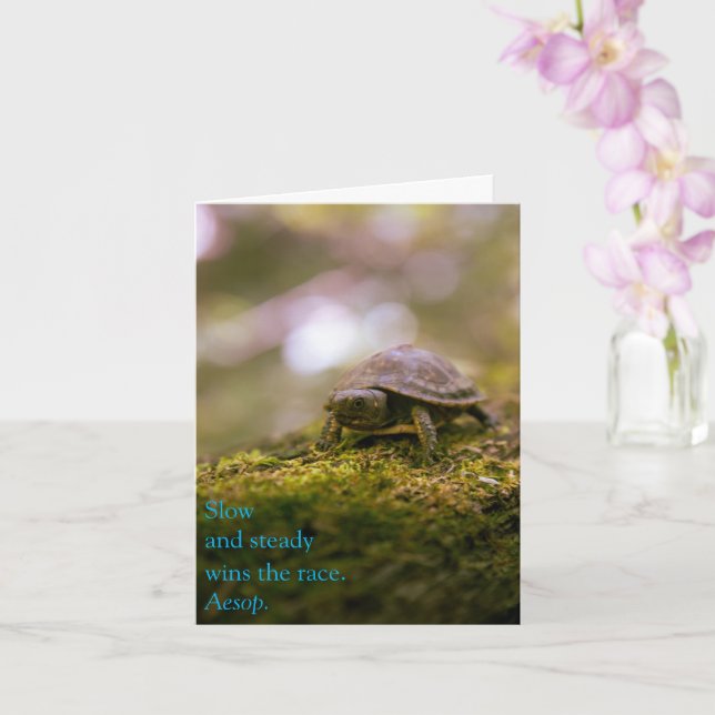 Långsam och stadig vinner Tävling - Aesop Kort (Orkide)