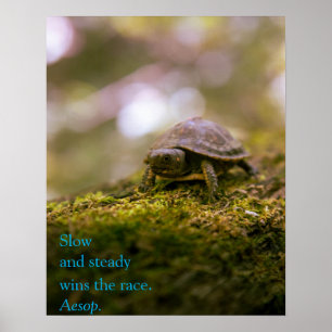 "Långsam och stadig vinner tävling." Aesop Poster