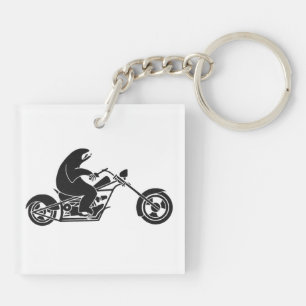 Långsam Sloth på en fastacykel