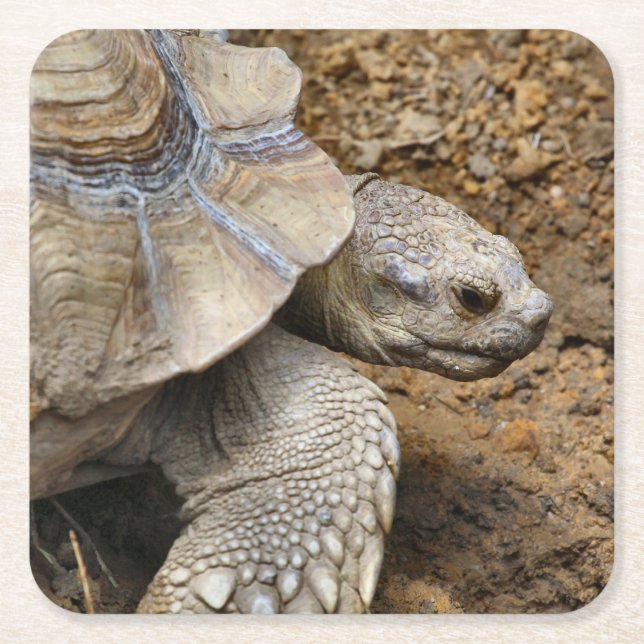 Långsam Underlägg Papper Kvadrat (Framsidan)