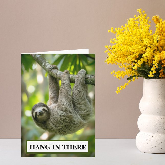 Långsamhet Häng I Där Uppmuntran Kort (Hang in there sloth encouragement card)