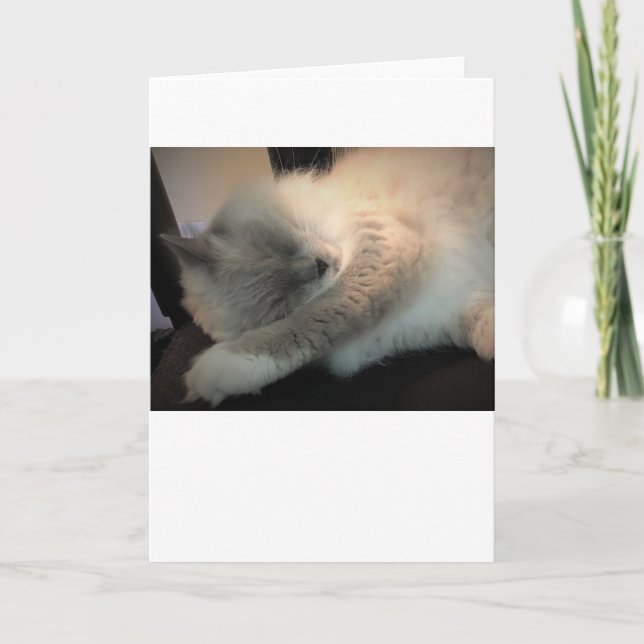 Långsamma dagar, kort (Framsida)