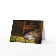 Långsamma dagar, kort