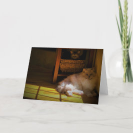 Långsamma dagar, kort