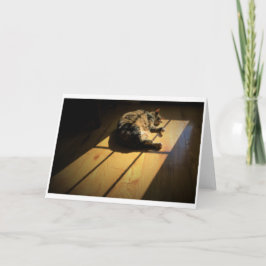 Långsamma dagar, kort