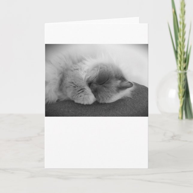 Långsamma dagar, kort (Framsida)